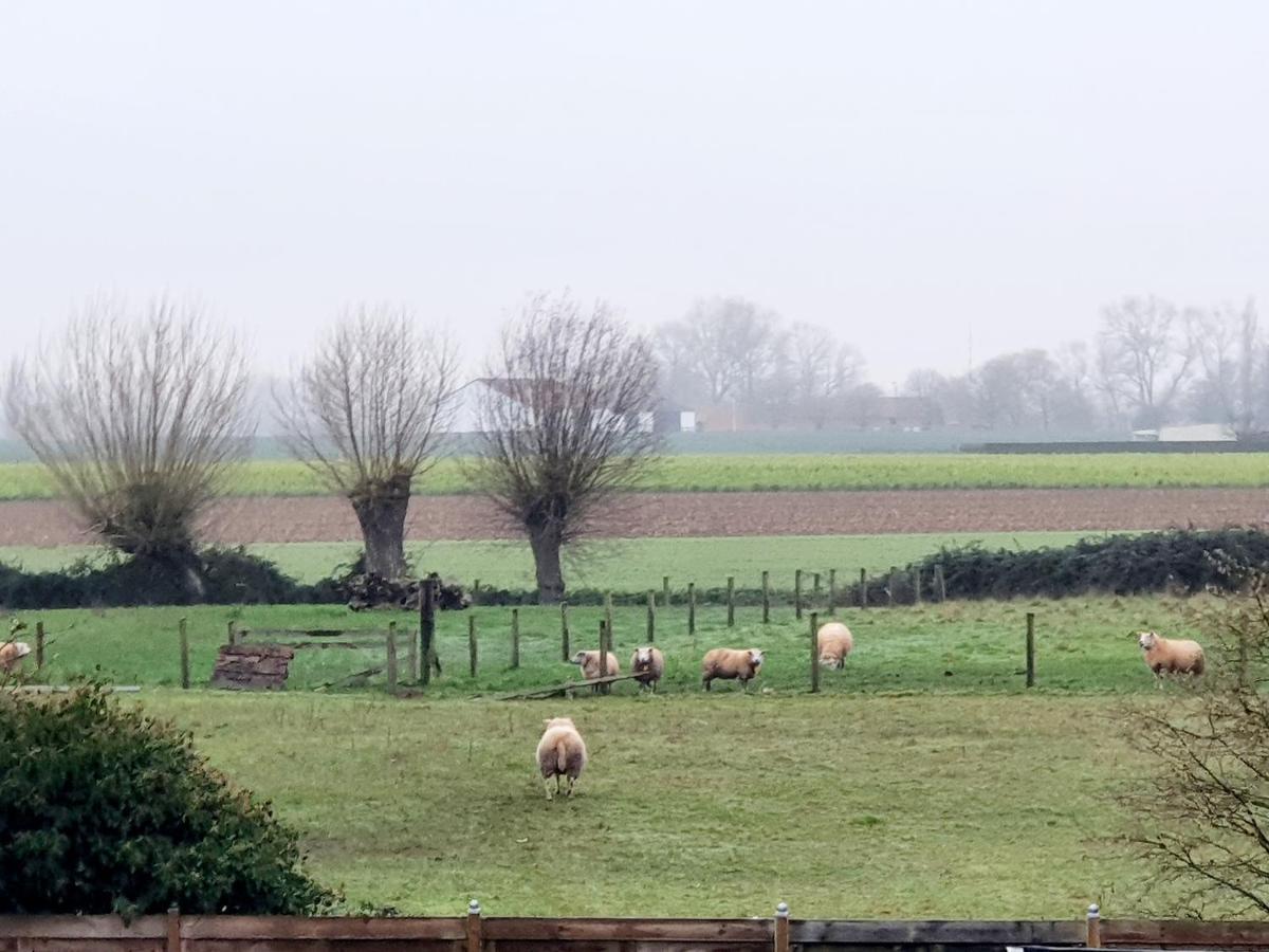 Luppolo Vakantiehuis Westhoek Alveringem Bagian luar foto
