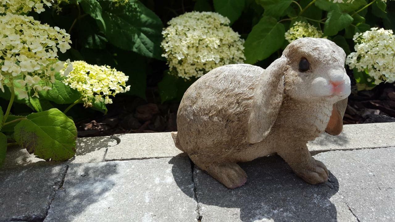 Luppolo Vakantiehuis Westhoek Alveringem Bagian luar foto